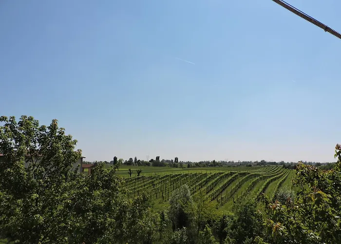 La Corte Di Adelina