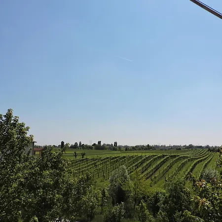 La Corte Di Adelina